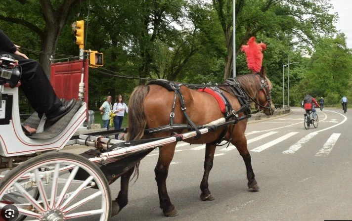 Horses are out (in June 2028)