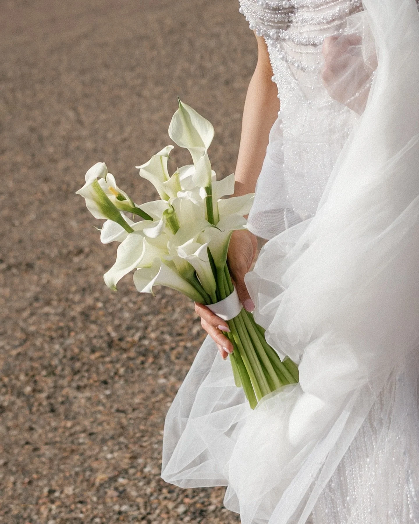 Tulle &amp; Callas, ofcourse🪽🪽🕊️ 

@emmawilderphoto 
@blondearmy 
@fioriglasgow 
@hopetounhouse