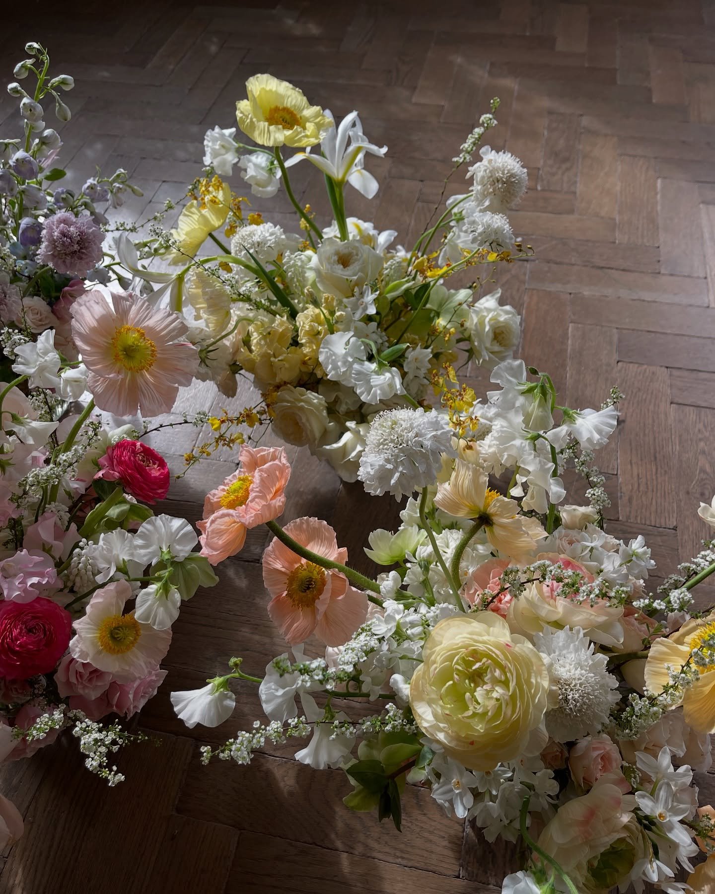 The sweetest stems for Cat's favourite girls 

Originally to be single variety posies .. however we found ourselves spoiled for choice in the sweetest few days in March, so quickly pivoted and instead honed in on a shade of Spring for each bouquet an