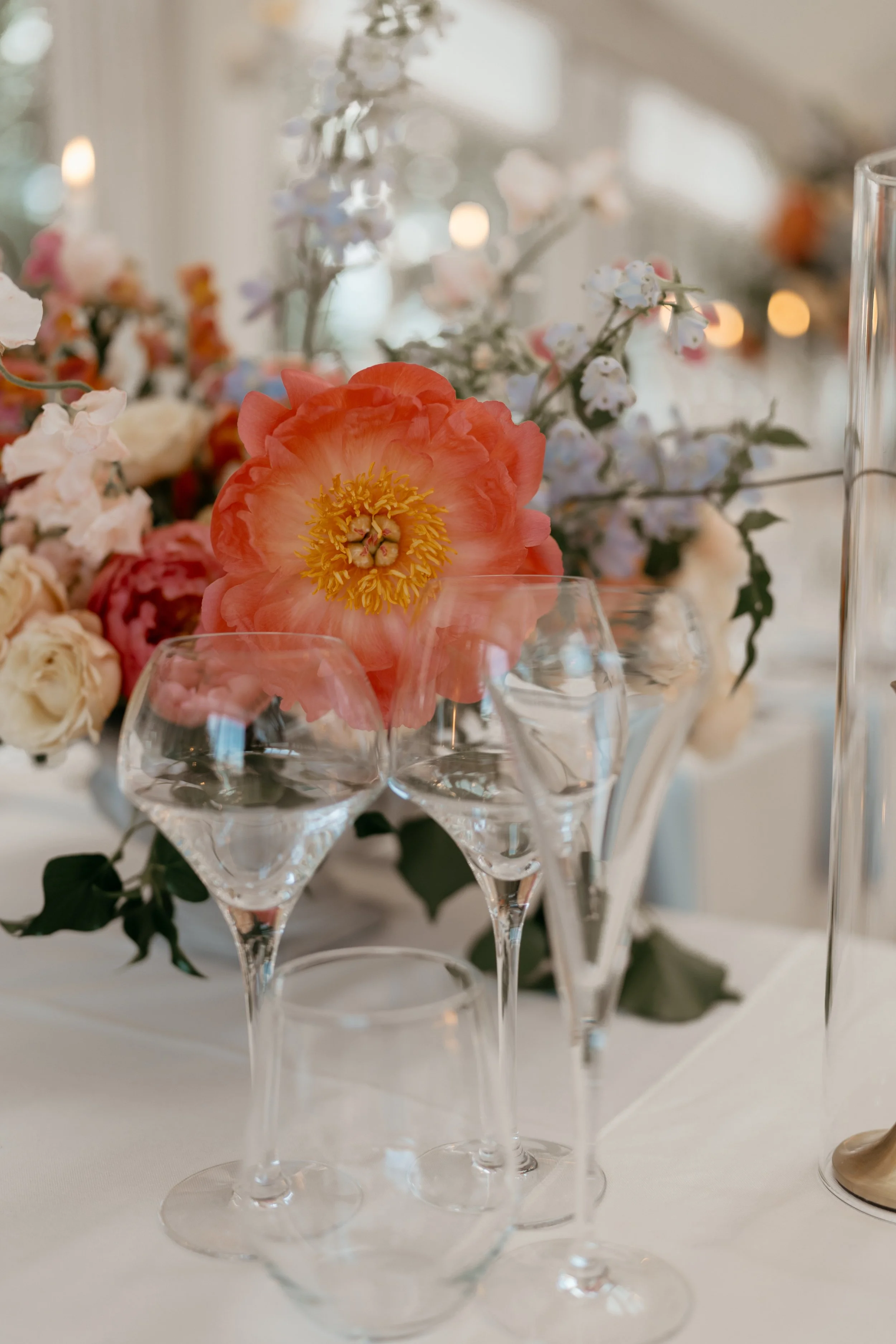 Monica & Dave - Day 2-1336.jpg