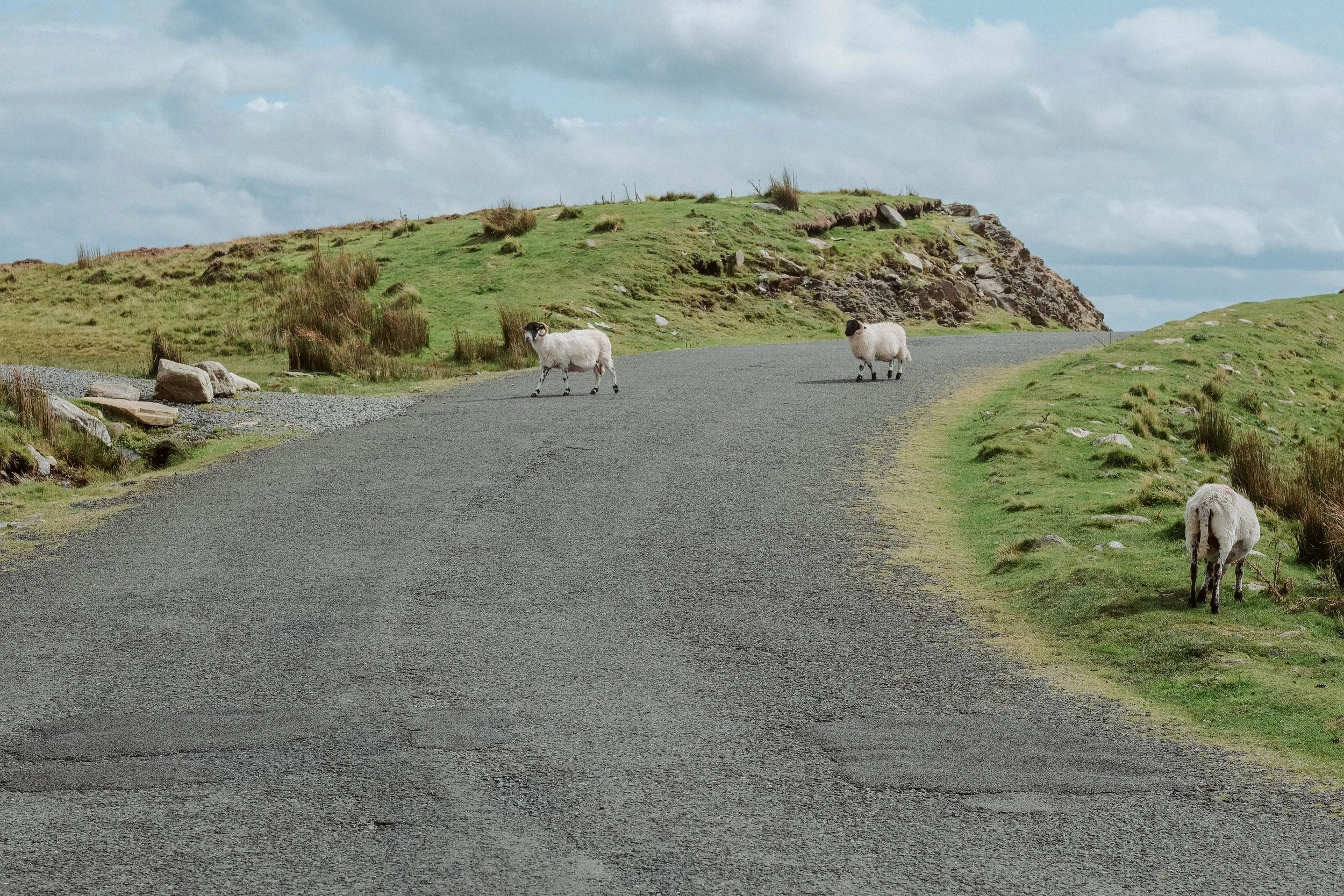 L & C Engagement (47).jpg