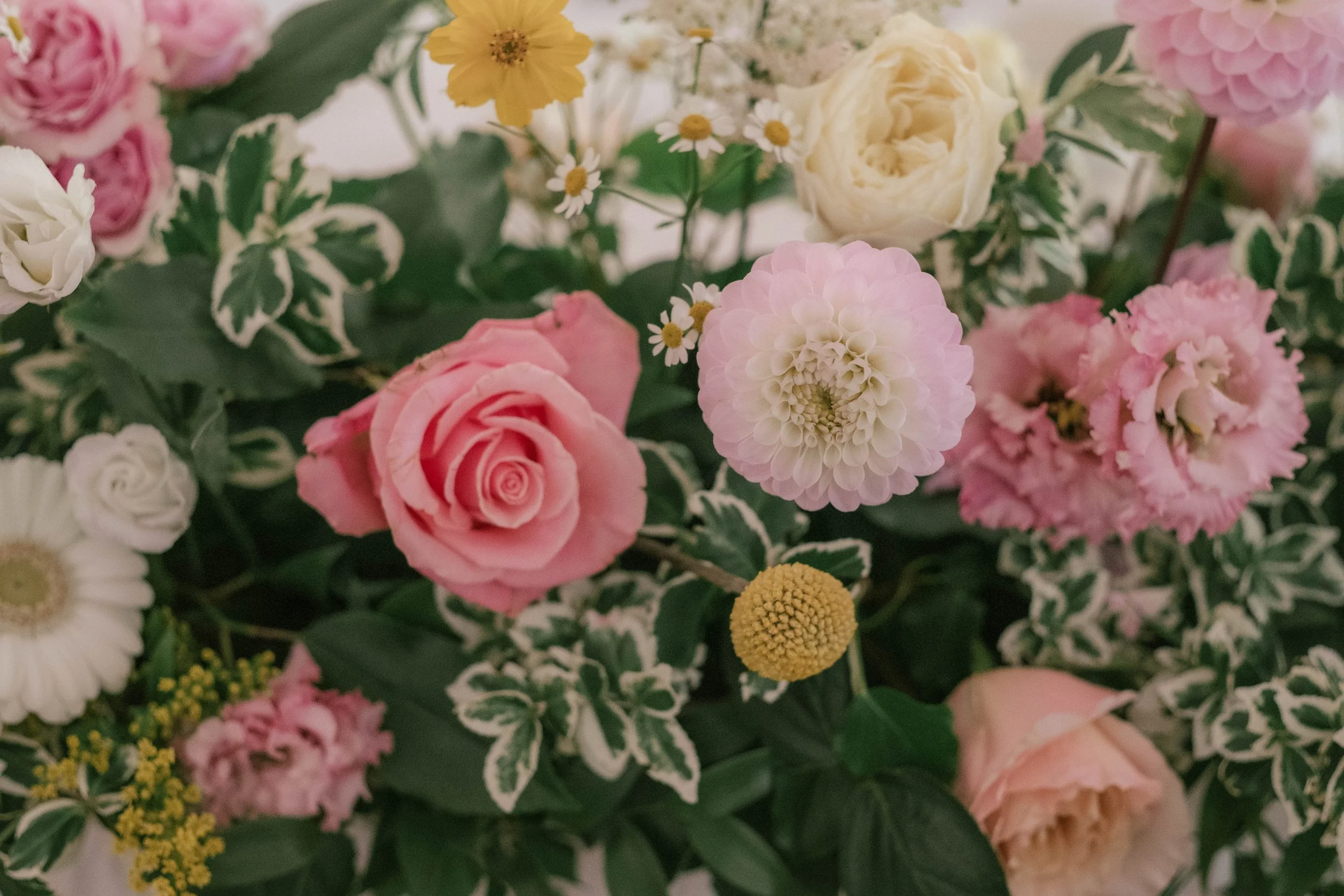 Nathan & Emma -  (438).jpg