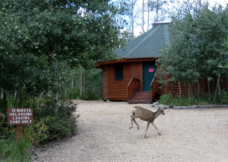 LDS yurt cabin and deer.JPG
