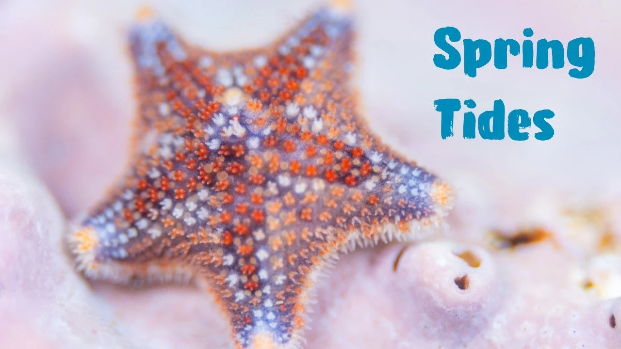 Brief Update - YouTube & Photography Workshop