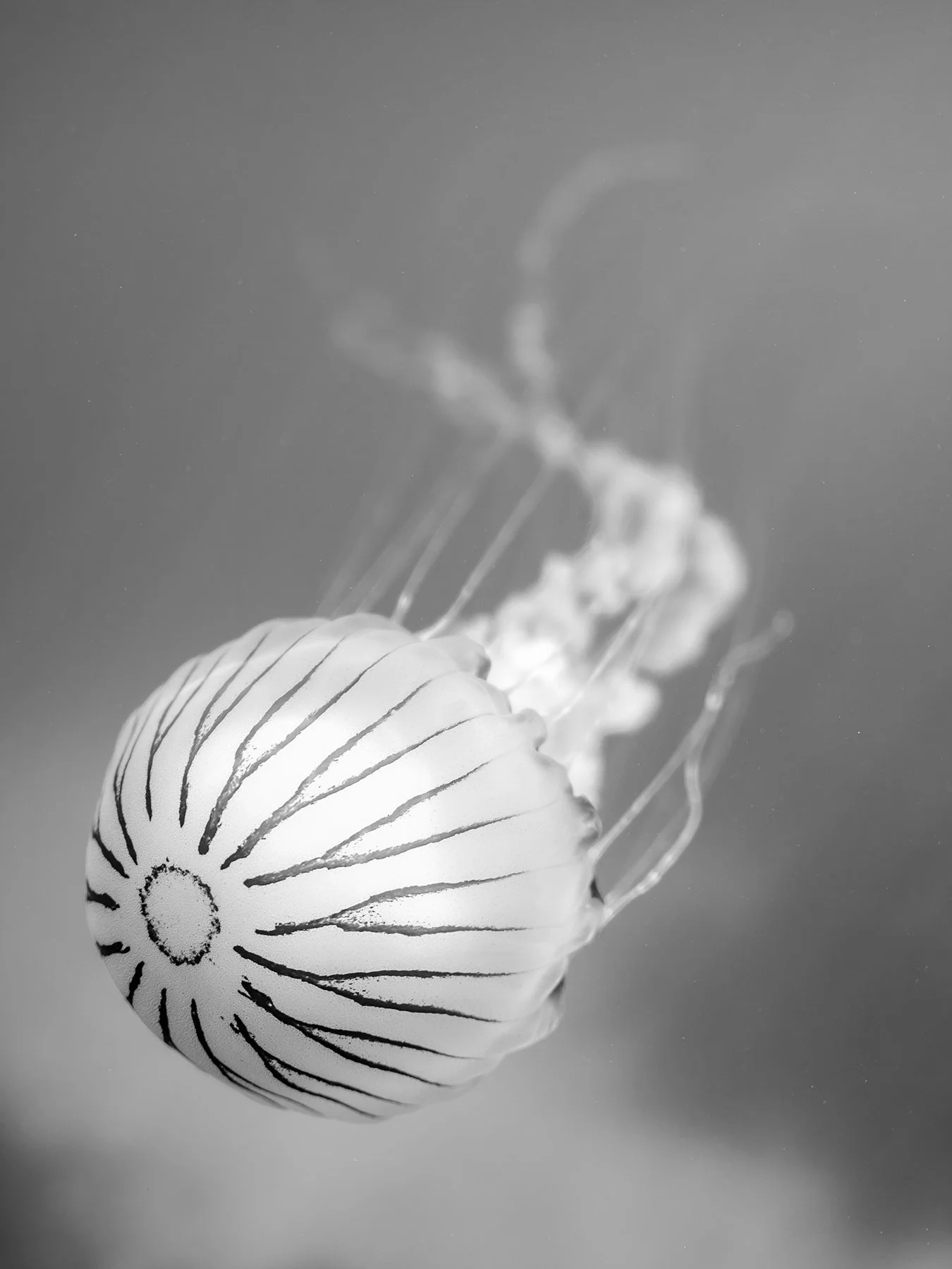 P7181260-2.jpg