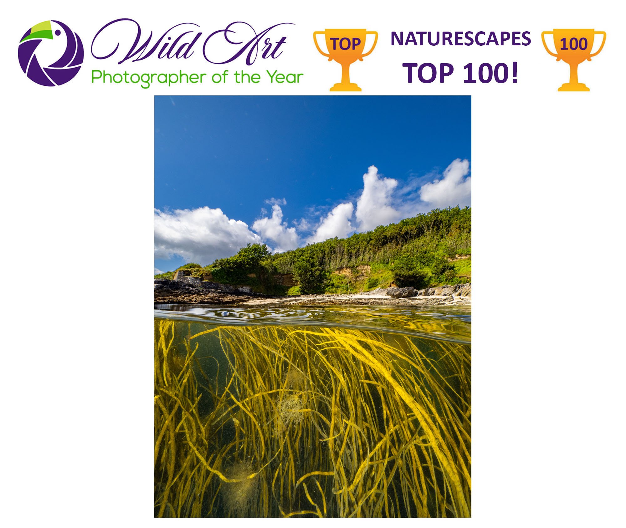 Martin Stevens 1 naturescapes top 100.jpg