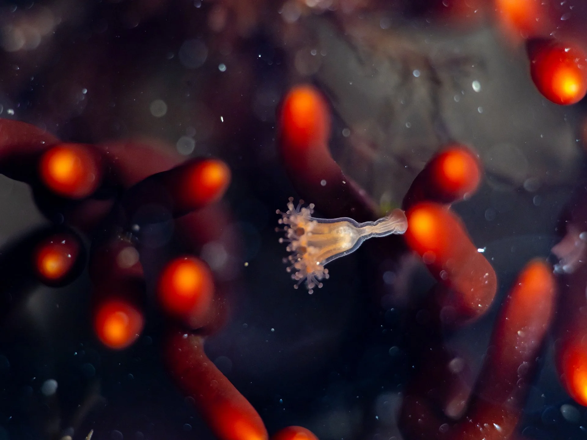 P3225269.jpg