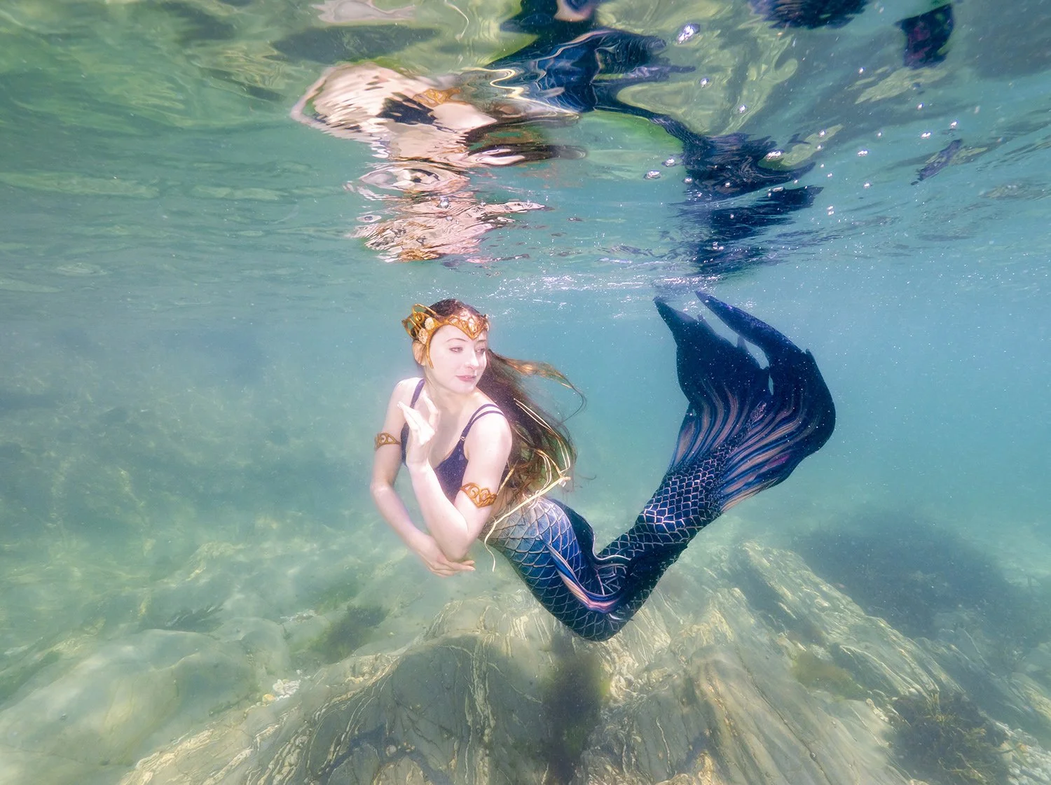 _7022306.jpg