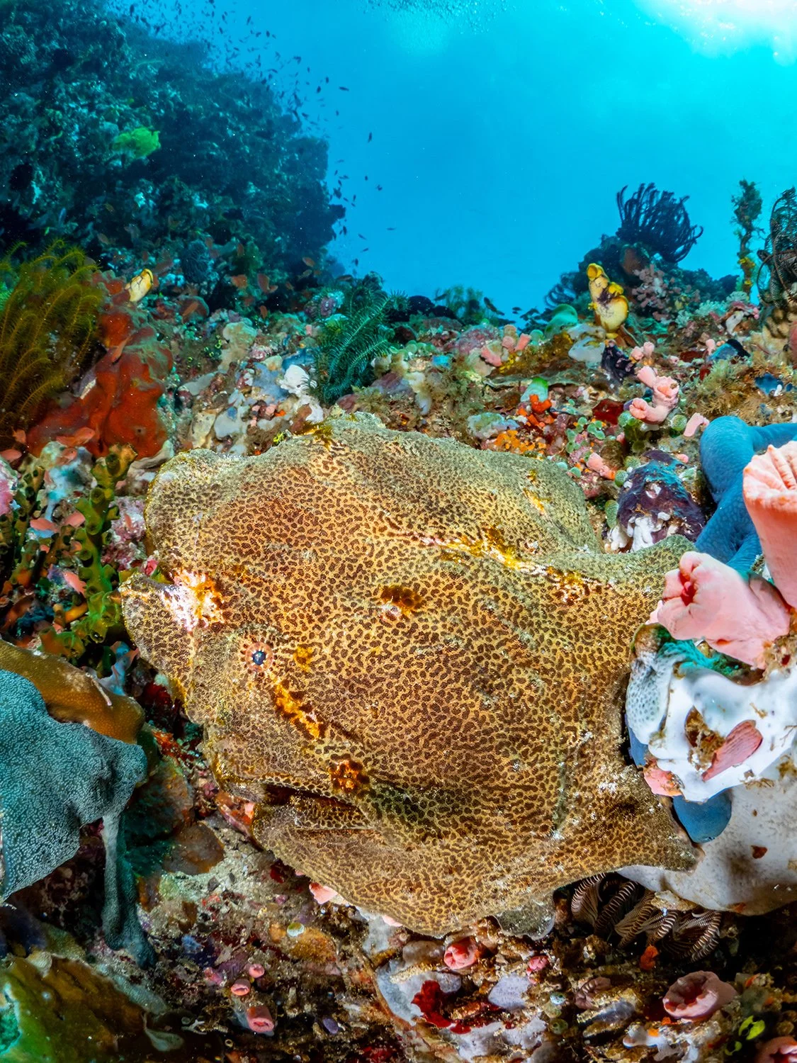 P1262791.jpg