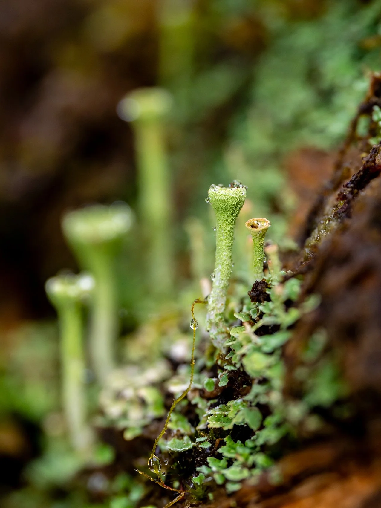 PA010853.jpg