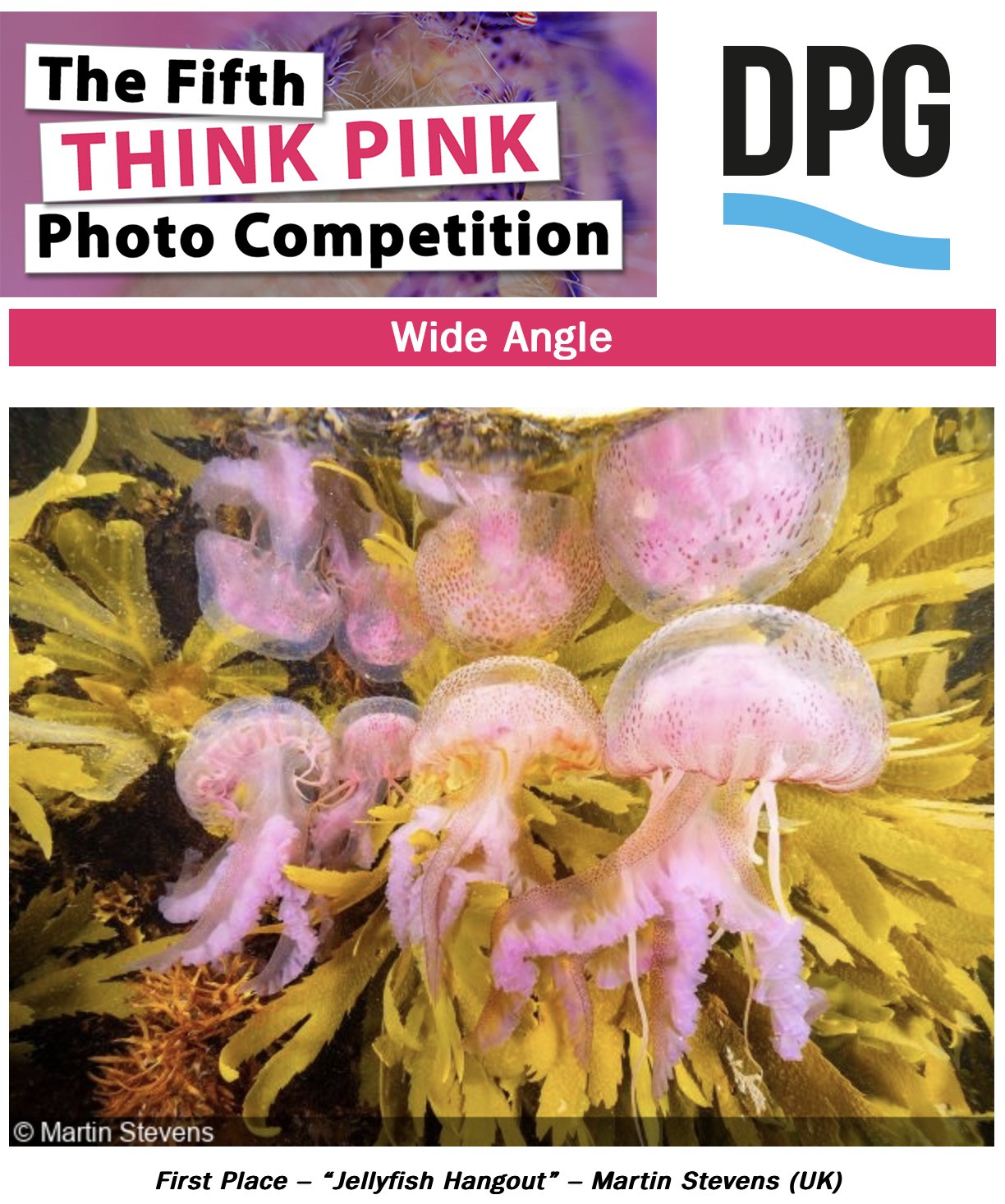 think pink winner.jpg