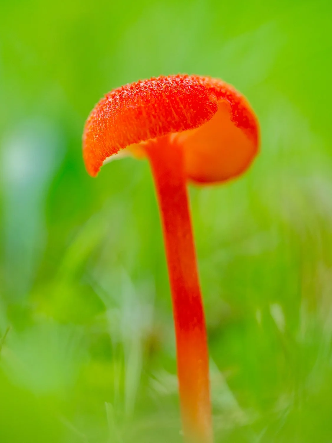_8031603.jpg