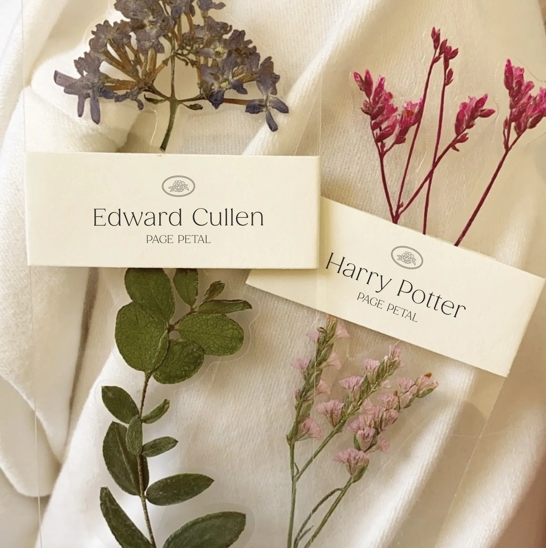 Screen Shot 2022-02-11 at 6.57.51 PM copy.jpg