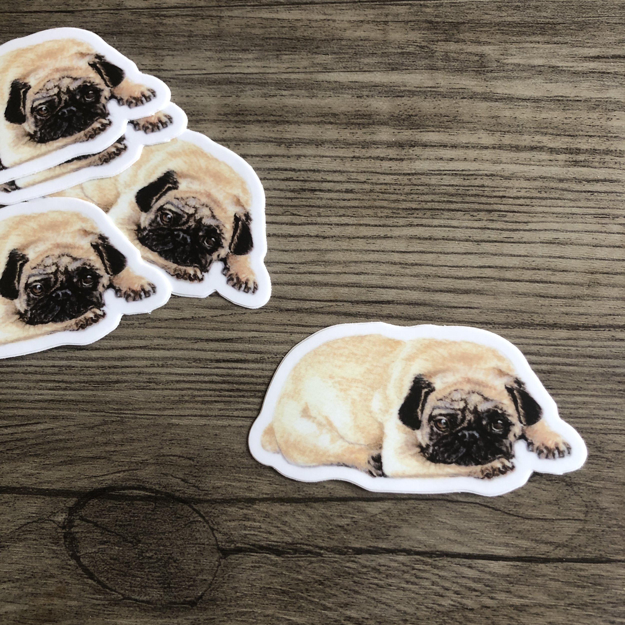 Pug Vinyl Sticker