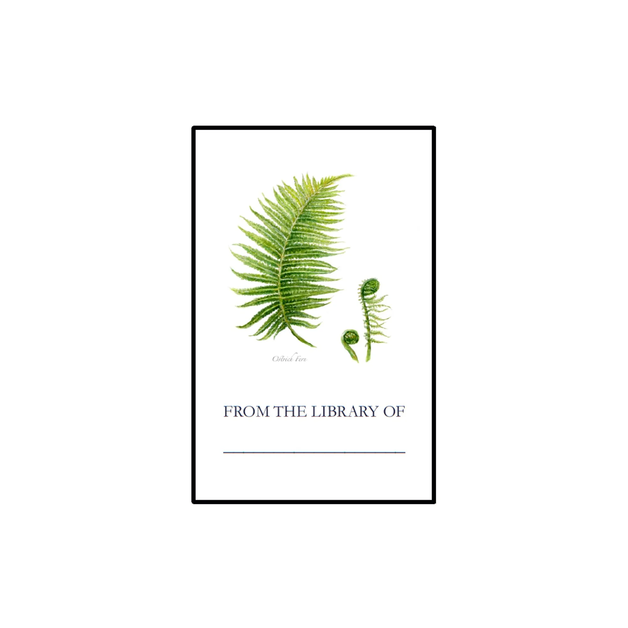 Fern.SQ_BKPLT.LISTING.jpg