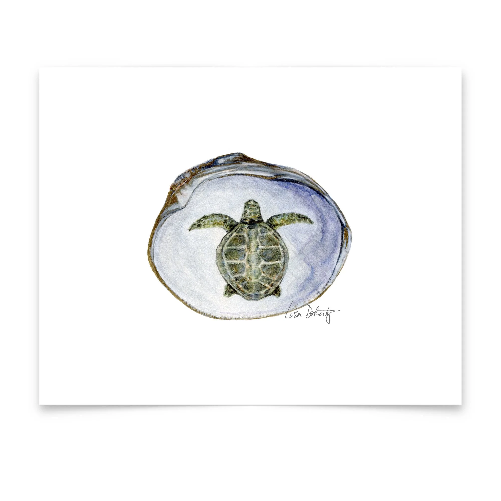 SQ.8x10.PaintedSeaTurtleShell.paper.jpg
