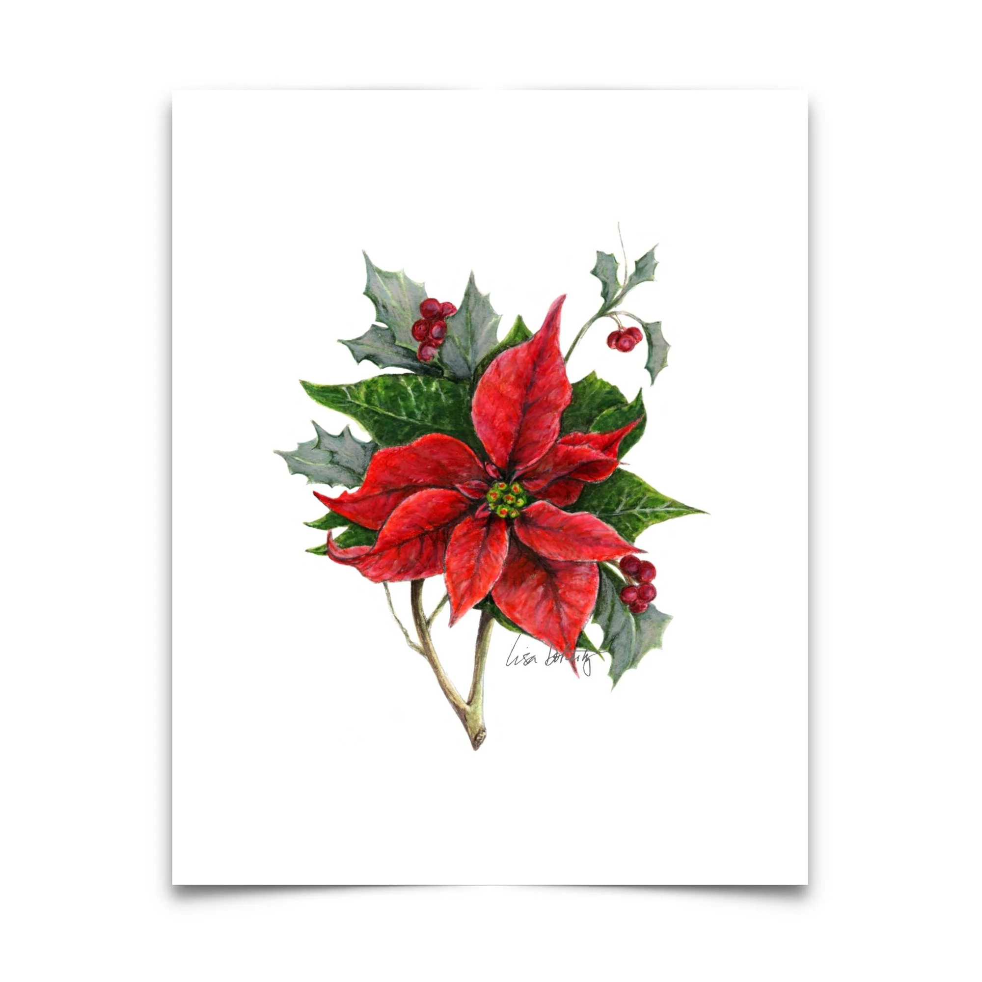 SQ.8x10.ChristmasPoinsettia.paper.jpg