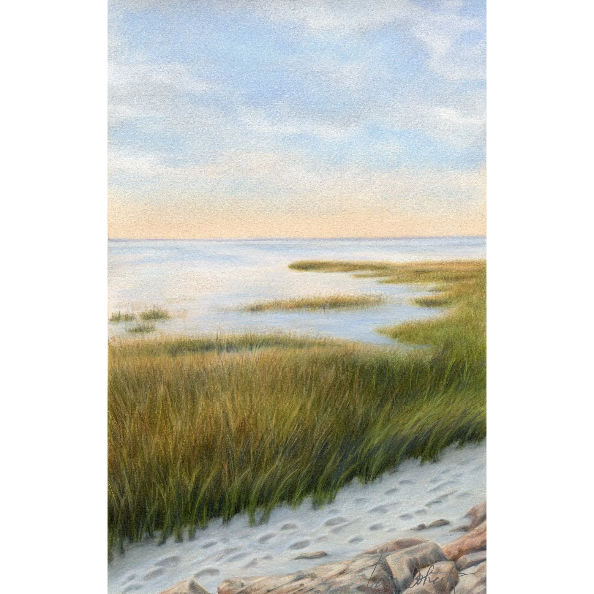 ShorlineMarsh.SQ.sig.jpg