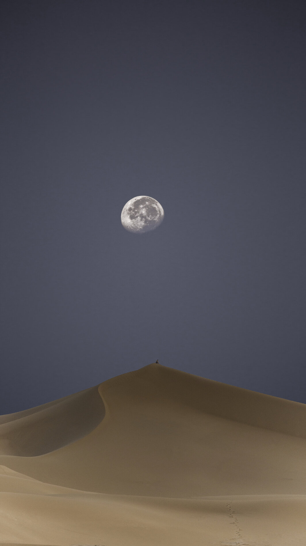 Chris under the moon copy.jpg