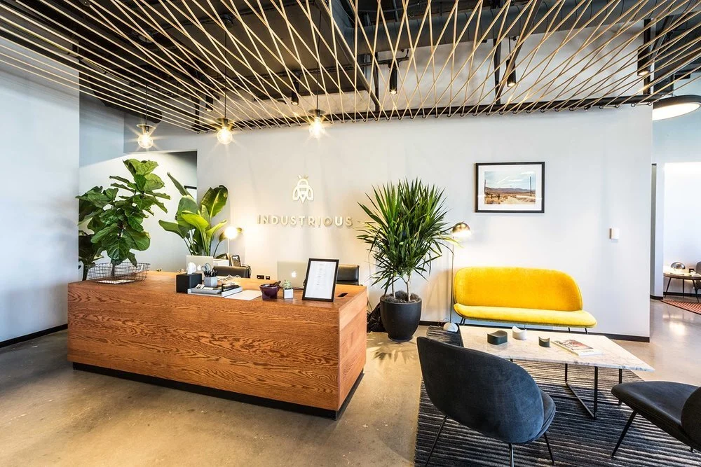 Industrious Offices interior design and architecture. Office interior design and consultancy by Shanta Trusewich Studio Sio, New Zealand