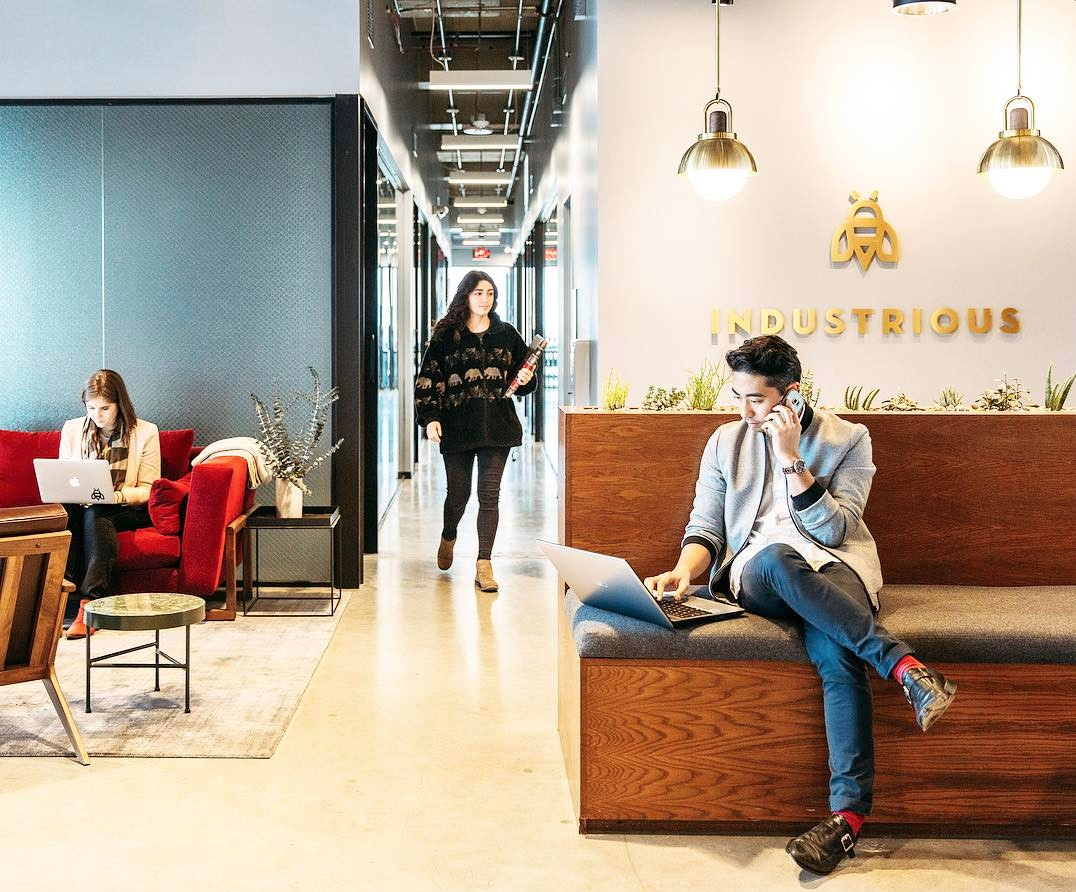 Industrious Offices interior design and architecture. Office interior design and consultancy by Shanta Trusewich Studio Sio, New Zealand