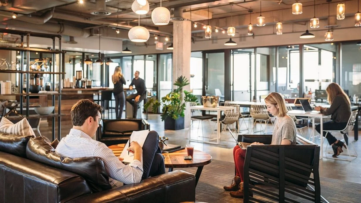 Industrious Offices interior design and architecture. Office interior design and consultancy by Shanta Trusewich Studio Sio, New Zealand