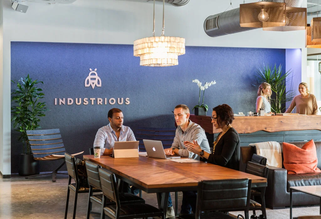 Industrious Offices interior design and architecture. Office interior design and consultancy by Shanta Trusewich Studio Sio, New Zealand