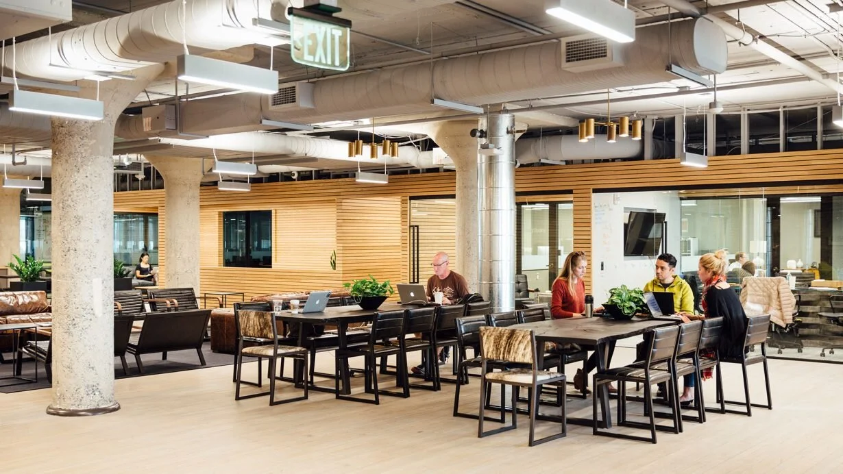 Industrious Offices interior design and architecture. Office interior design and consultancy by Shanta Trusewich Studio Sio, New Zealand