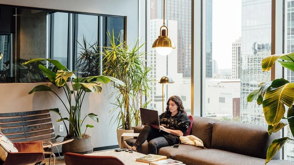 Industrious Offices interior design and architecture. Office interior design and consultancy by Shanta Trusewich Studio Sio, New Zealand