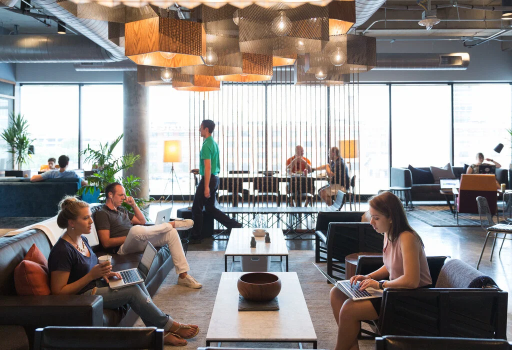 Industrious Offices interior design and architecture. Office interior design and consultancy by Shanta Trusewich Studio Sio, New Zealand