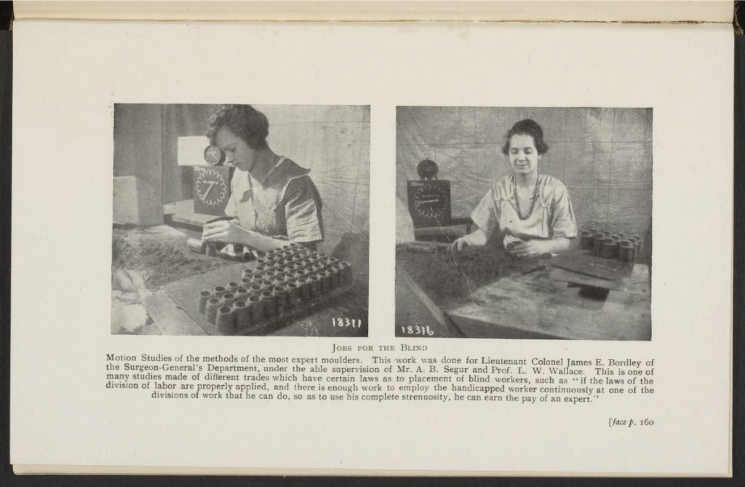 Auckland Interior Designer Studio Sio Lillian Gilbreth