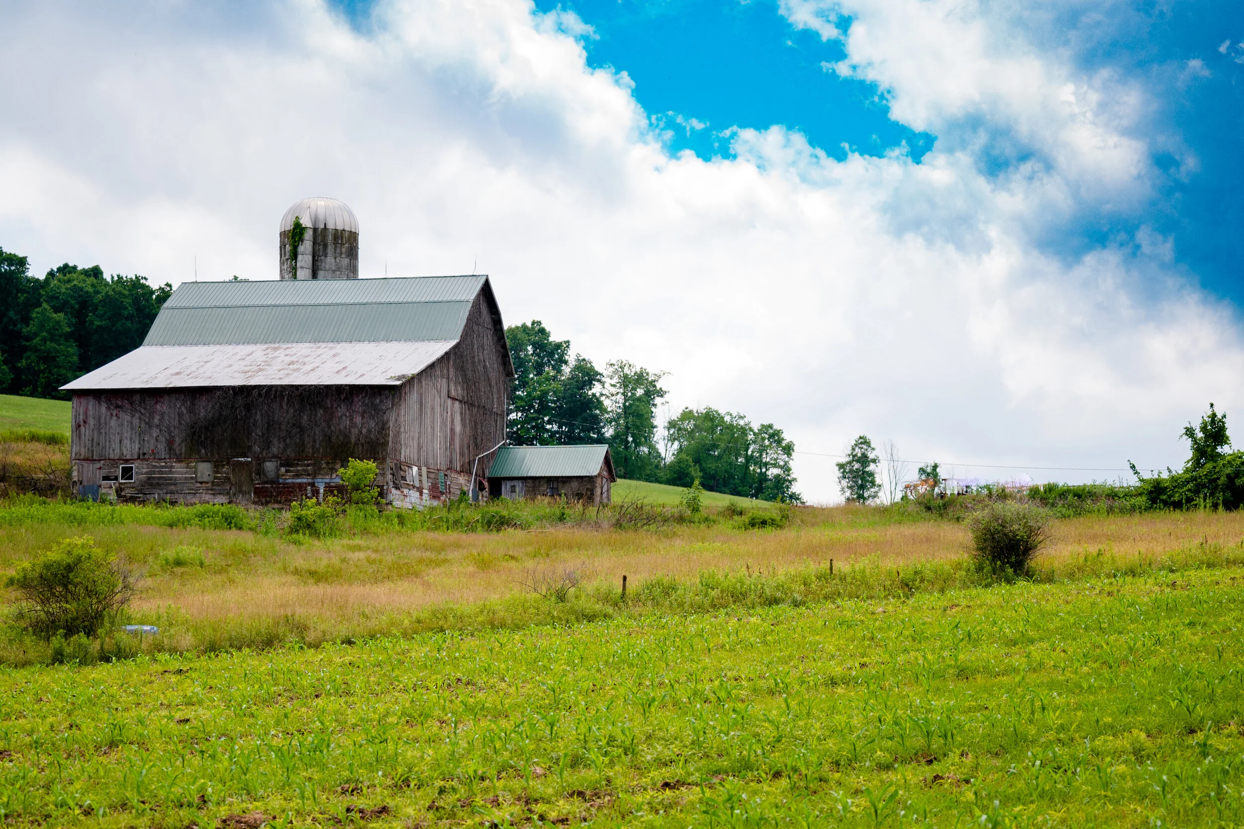 Barn on Hilltop.jpg
