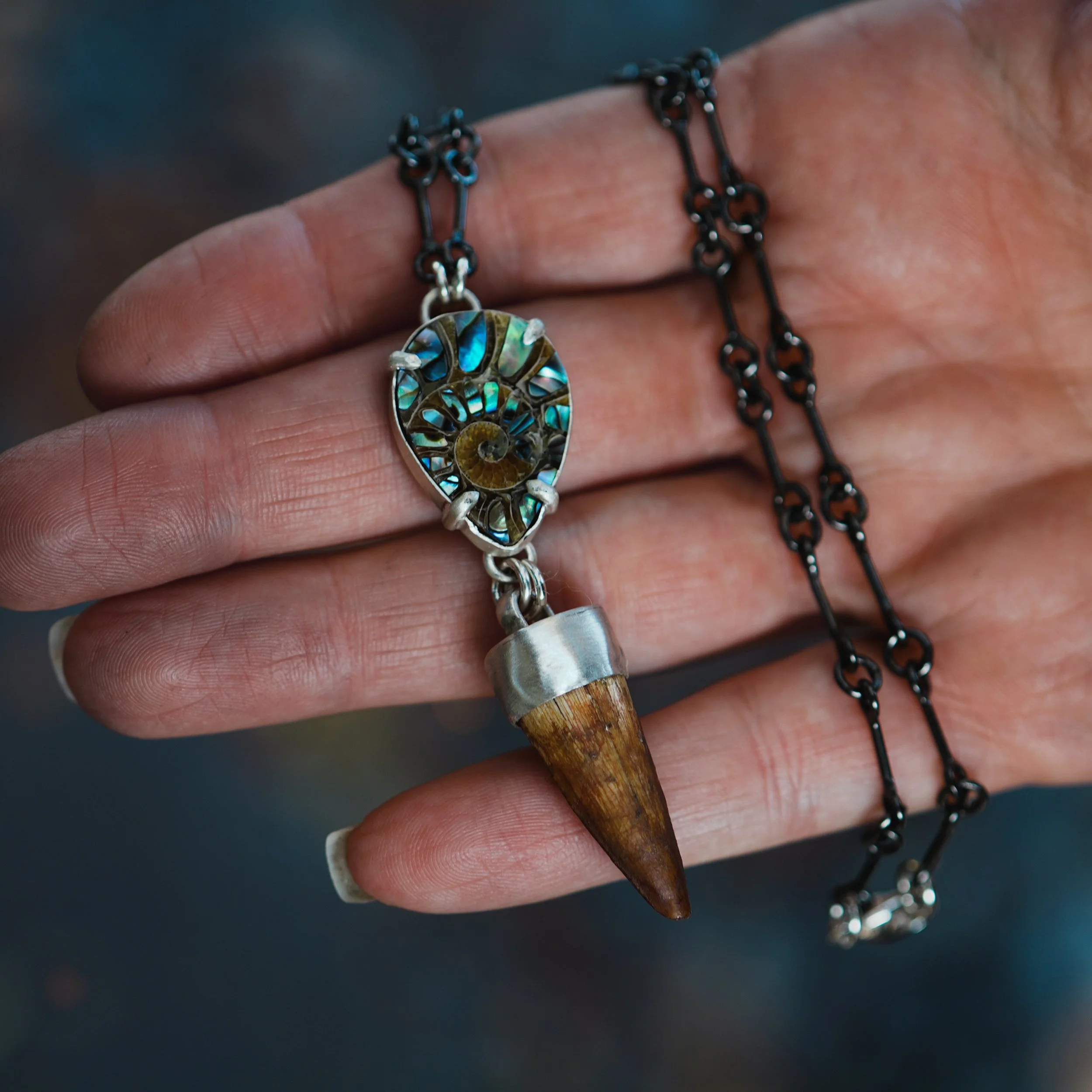 Mosasaur Tooth | Necklace