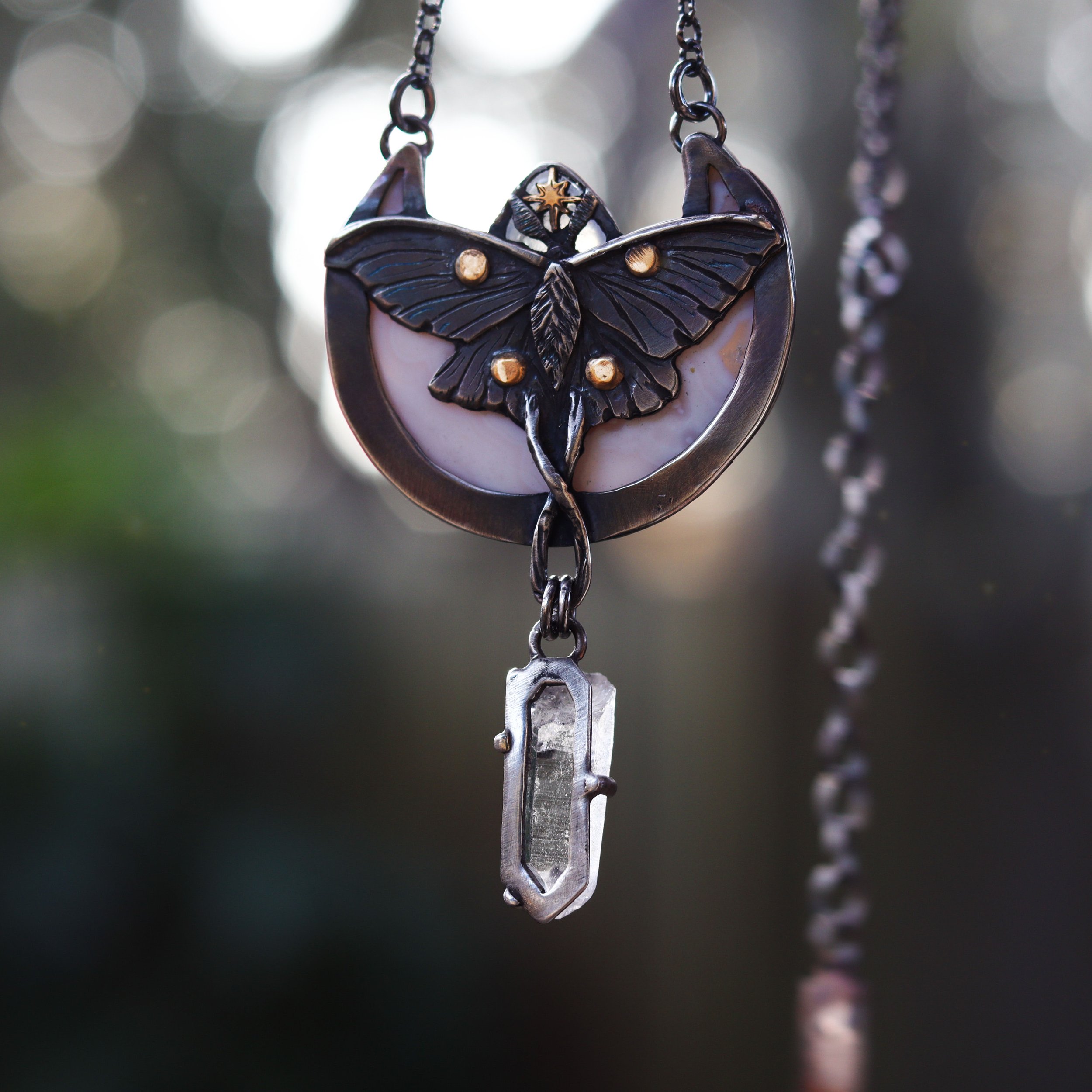 moth2.jpg