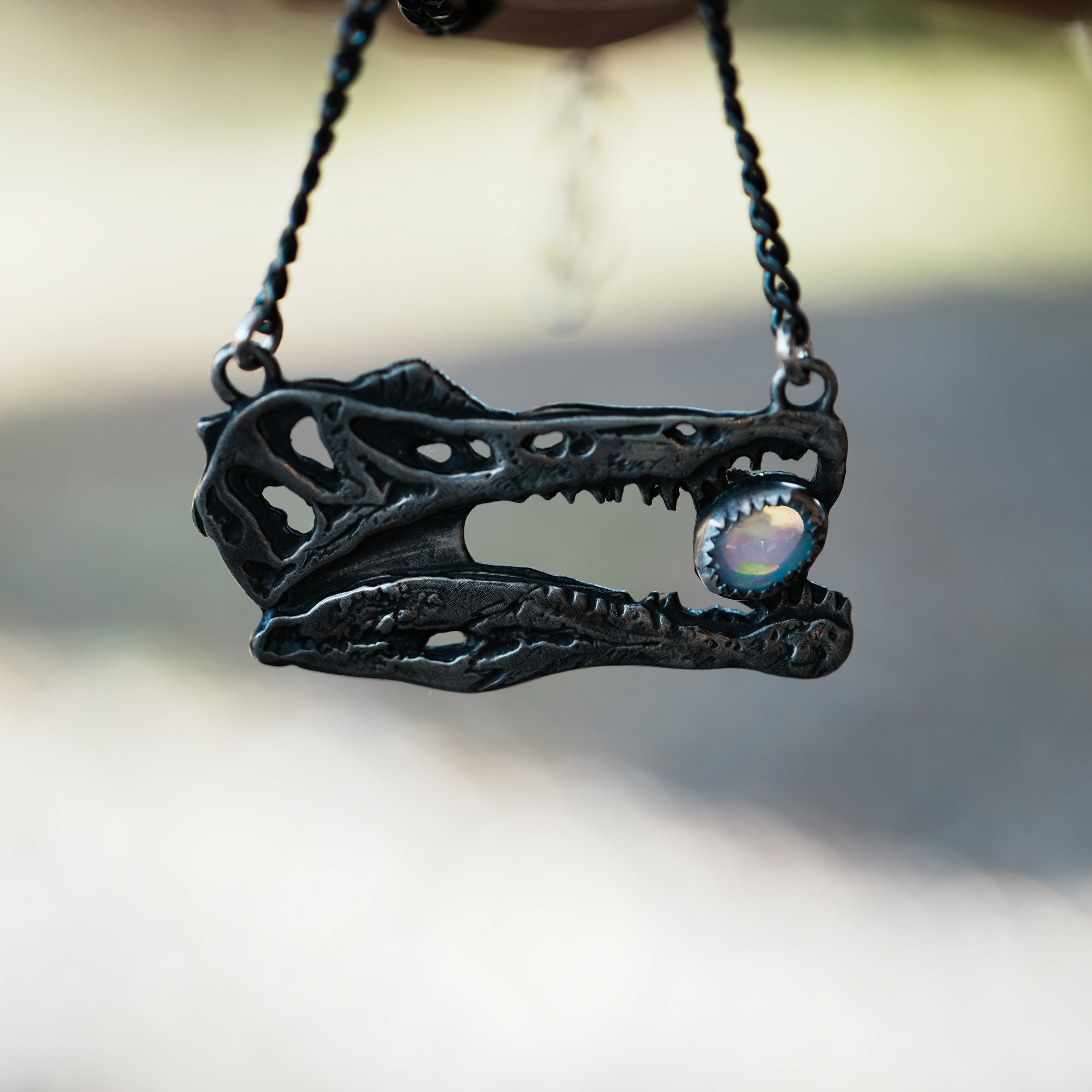 spino copy.jpg (Copy)