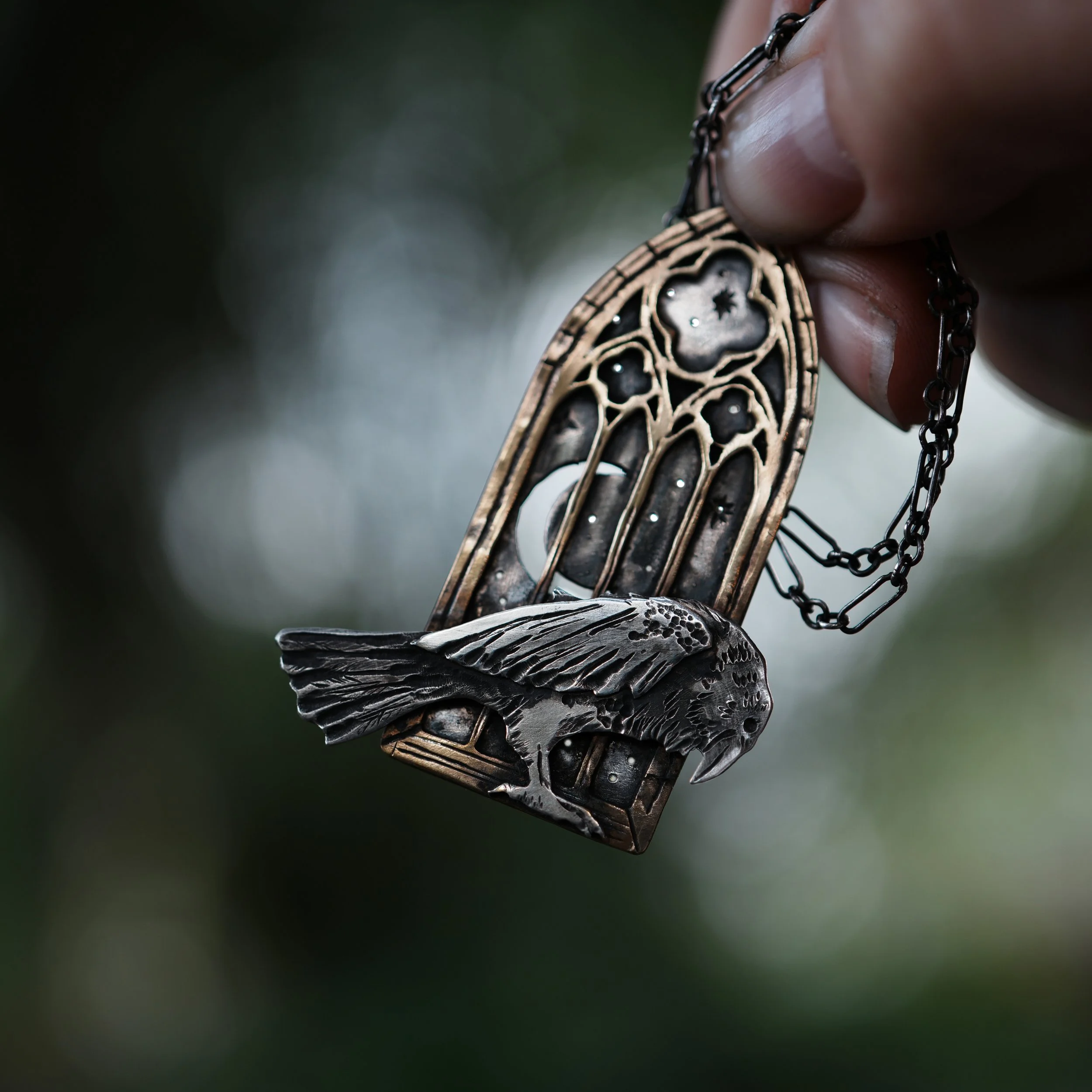 raven1 copy.jpg