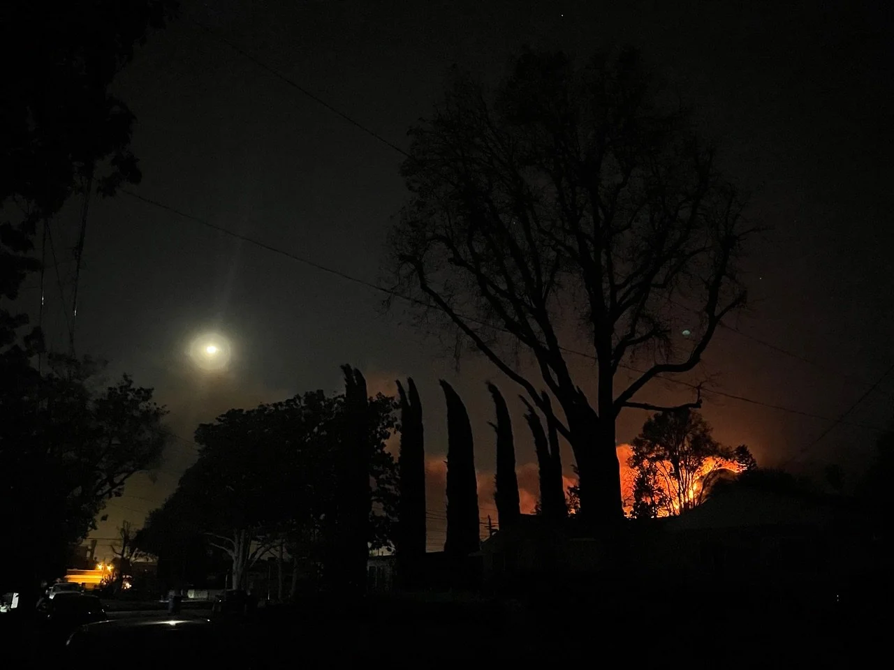 “Bella’s Home” by Jacob Strunk