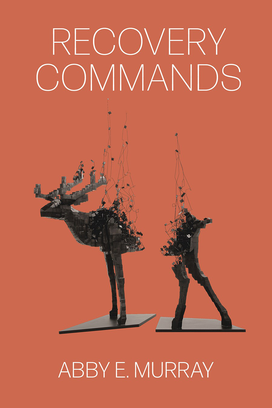 “Entranced by Tigers, Bored by Babies”: Andria Williams reviews RECOVERY COMMANDS by Abby Murray