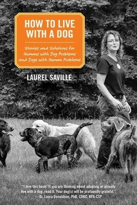 A Particular Kind of Heartbreak: a review of Laurel Saville’s HOW TO LIVE WITH A DOG by Rebecca Brock