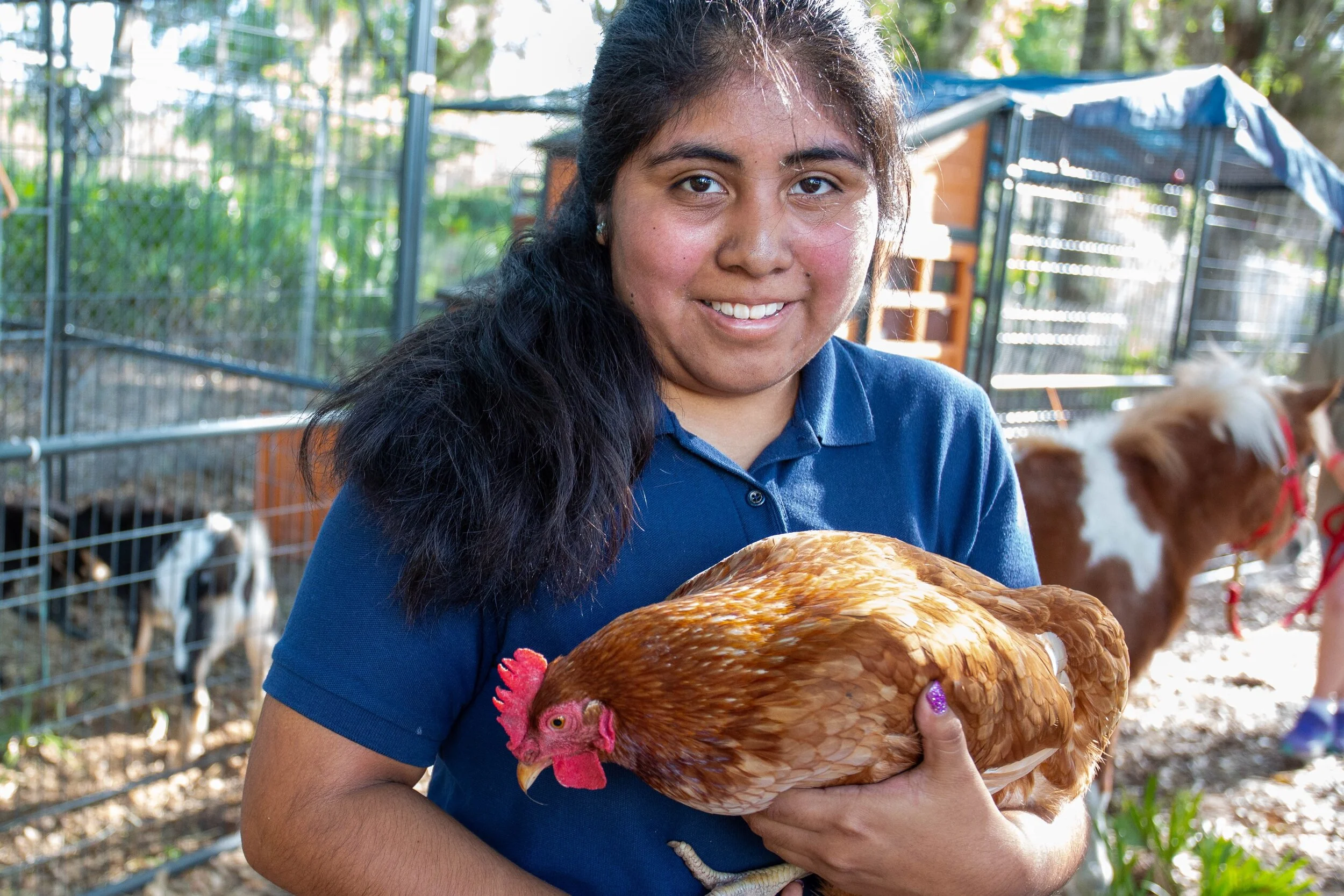 pinnacle-farms-the-pinnacle-academy