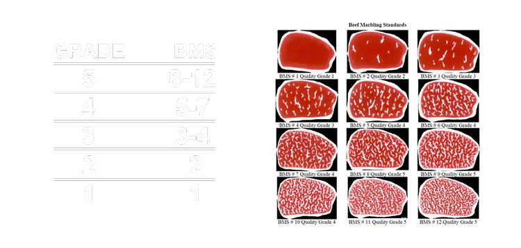 wagyu quality grading chart