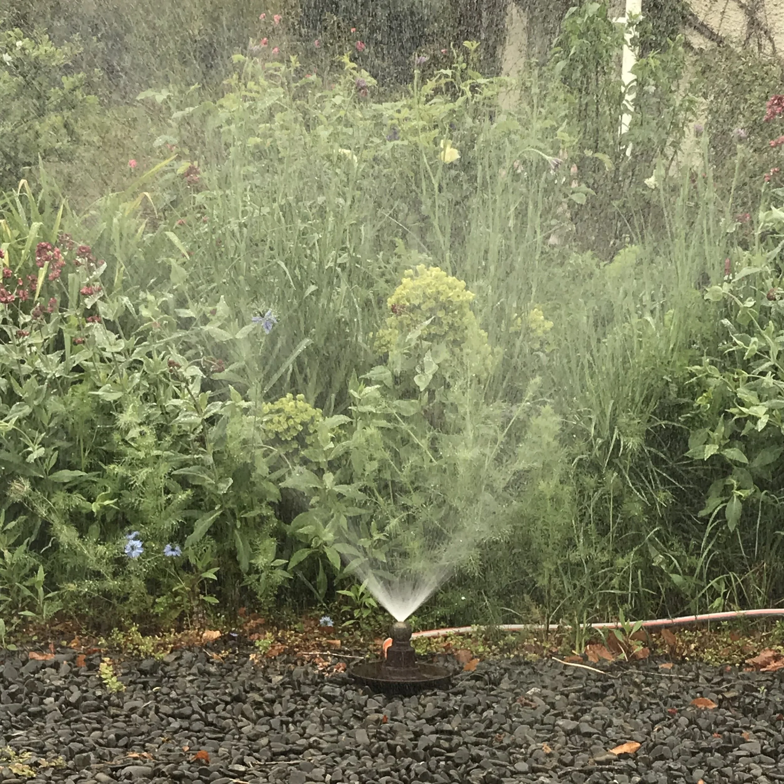 SOLD - 1960's Cast Iron and Brass Lawn/garden Sprinkler