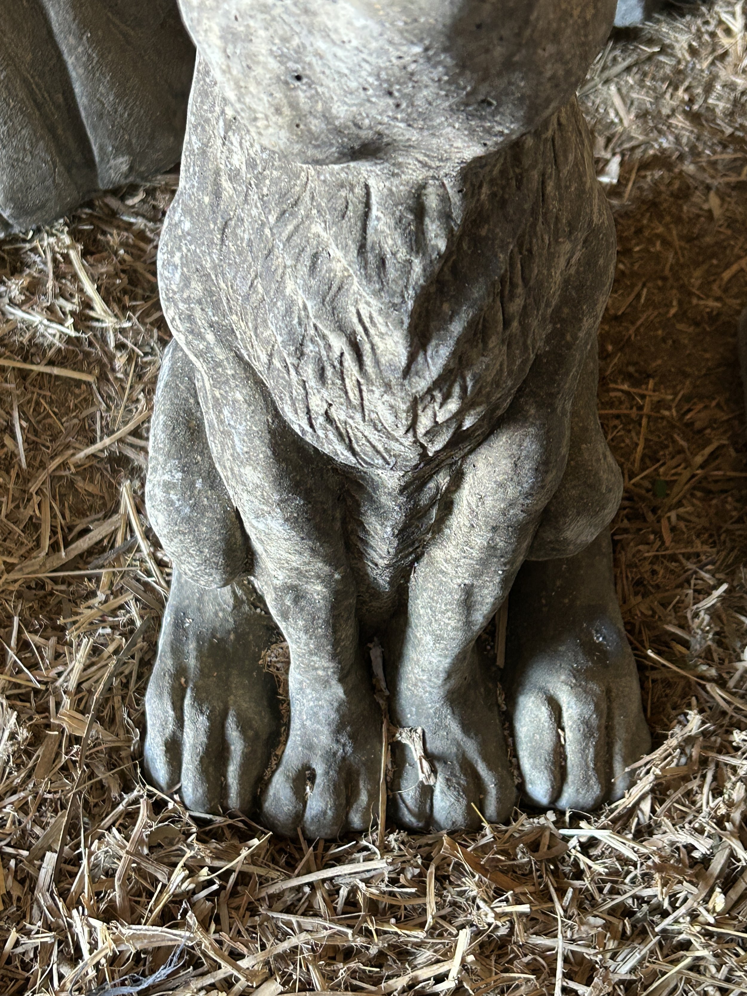 Moon Hare 2.jpeg