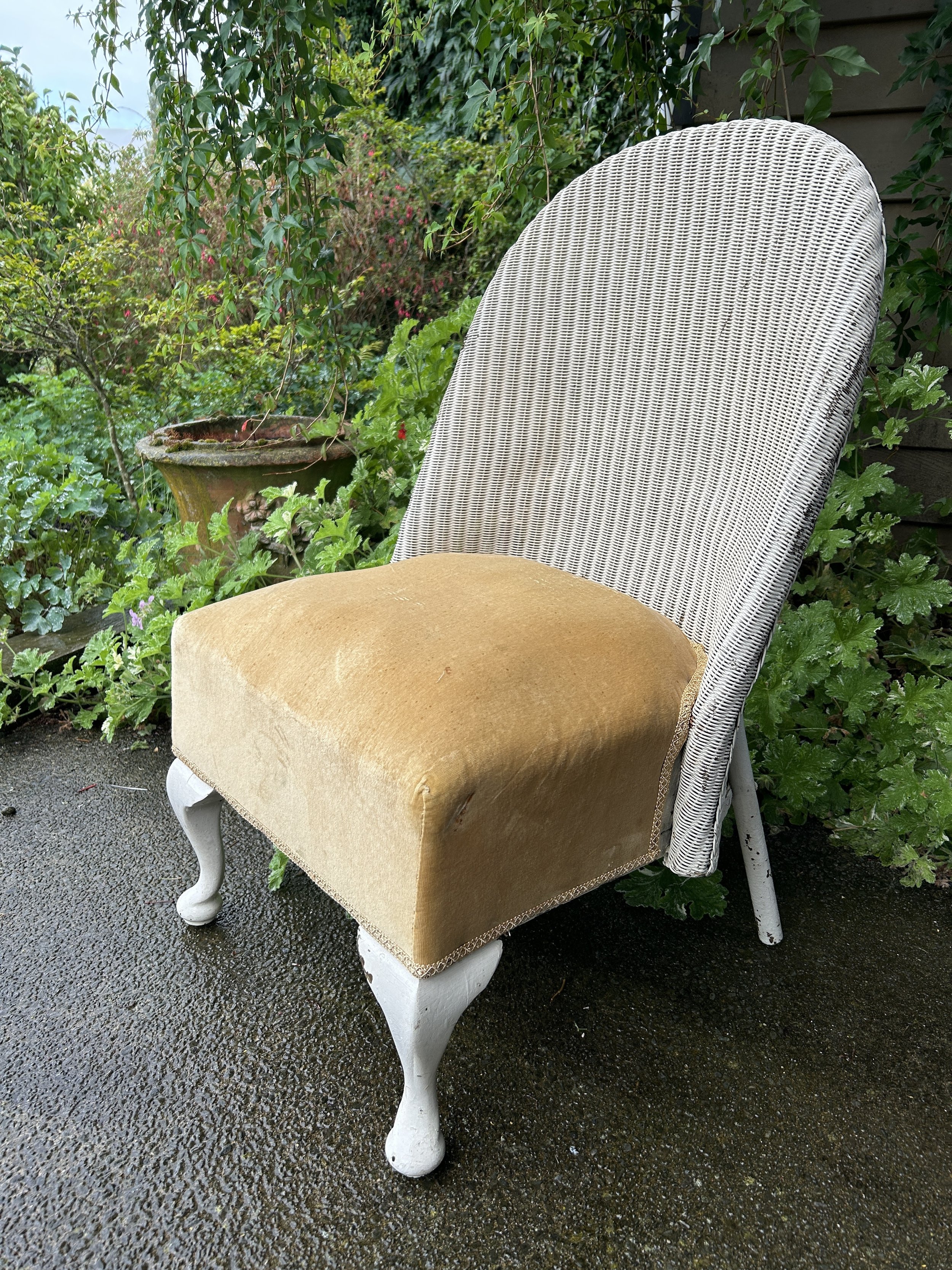 Wicker Chair with Metal Frame and Velvet Sprung Seat