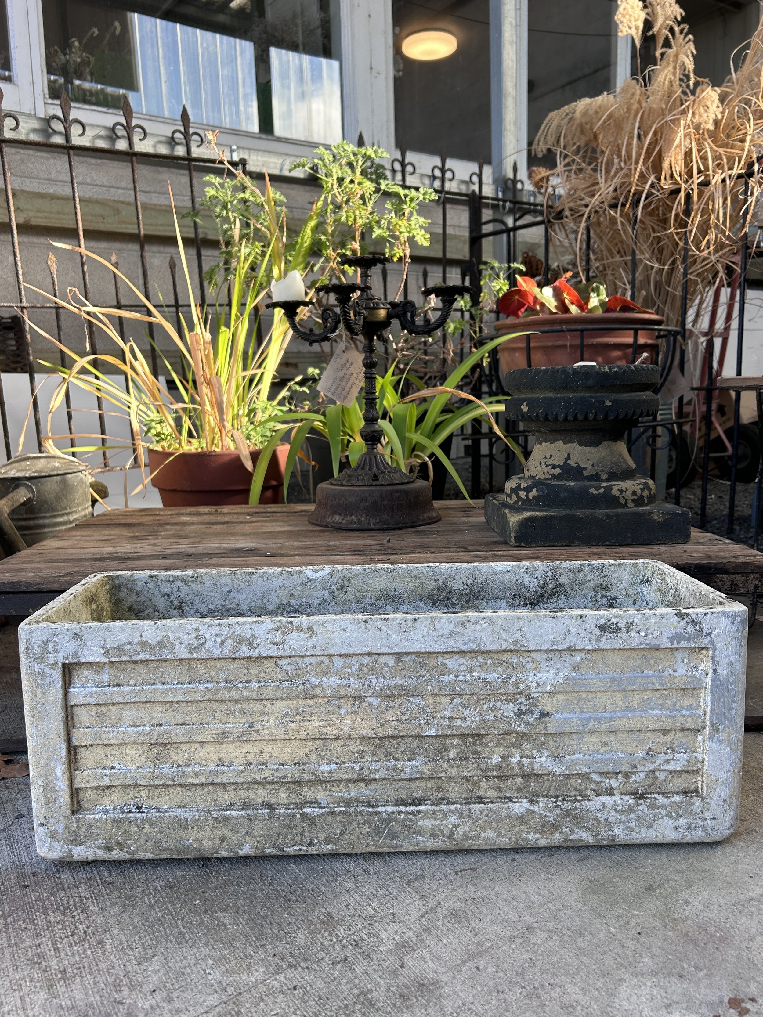 IMG_9802 2.JPG