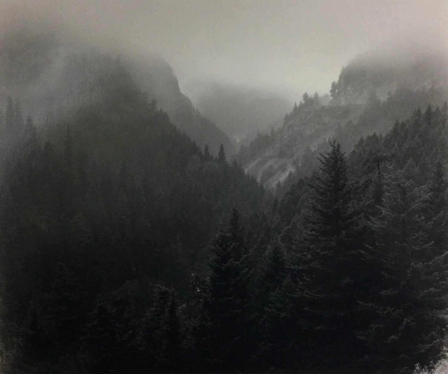 Fog, Canyon Creek Canyon, Waterton (#211), 1993, dark-room based silver emulsion black & white photograph