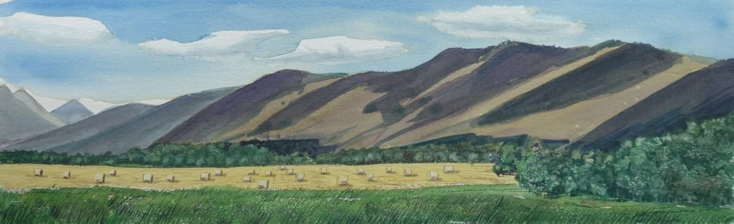 Foothills and Hayfield (Southern Alberta, #1028), 2006, watercolour/paper, 8 x 25 inches (20 x 63.5 cm), framed, $1500 Cdn.