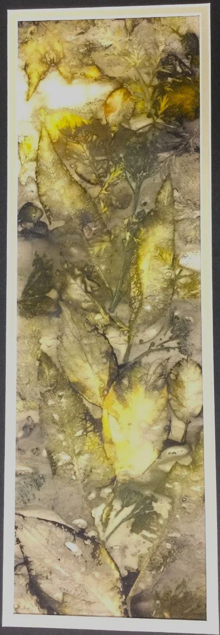 Eco Print (25.4), 2025, eco print on paper, 17.5 x 5.5" (43 x 14 cm), sold