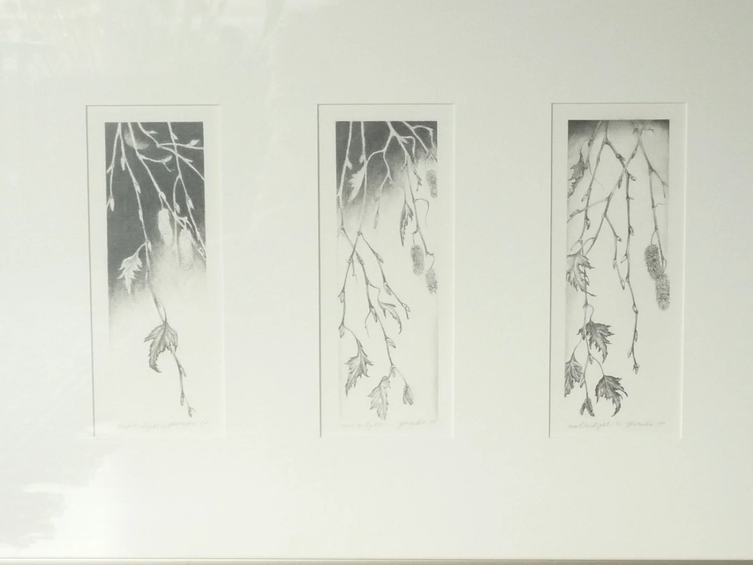 Birch Tree (Light Behind, Dark In Night, Light Left), 1995, graphite drawing on Rising Stonehenge paper, 9 x 3 inches (23 x 8 cm) each with 3 works framed together, $1100 Cdn