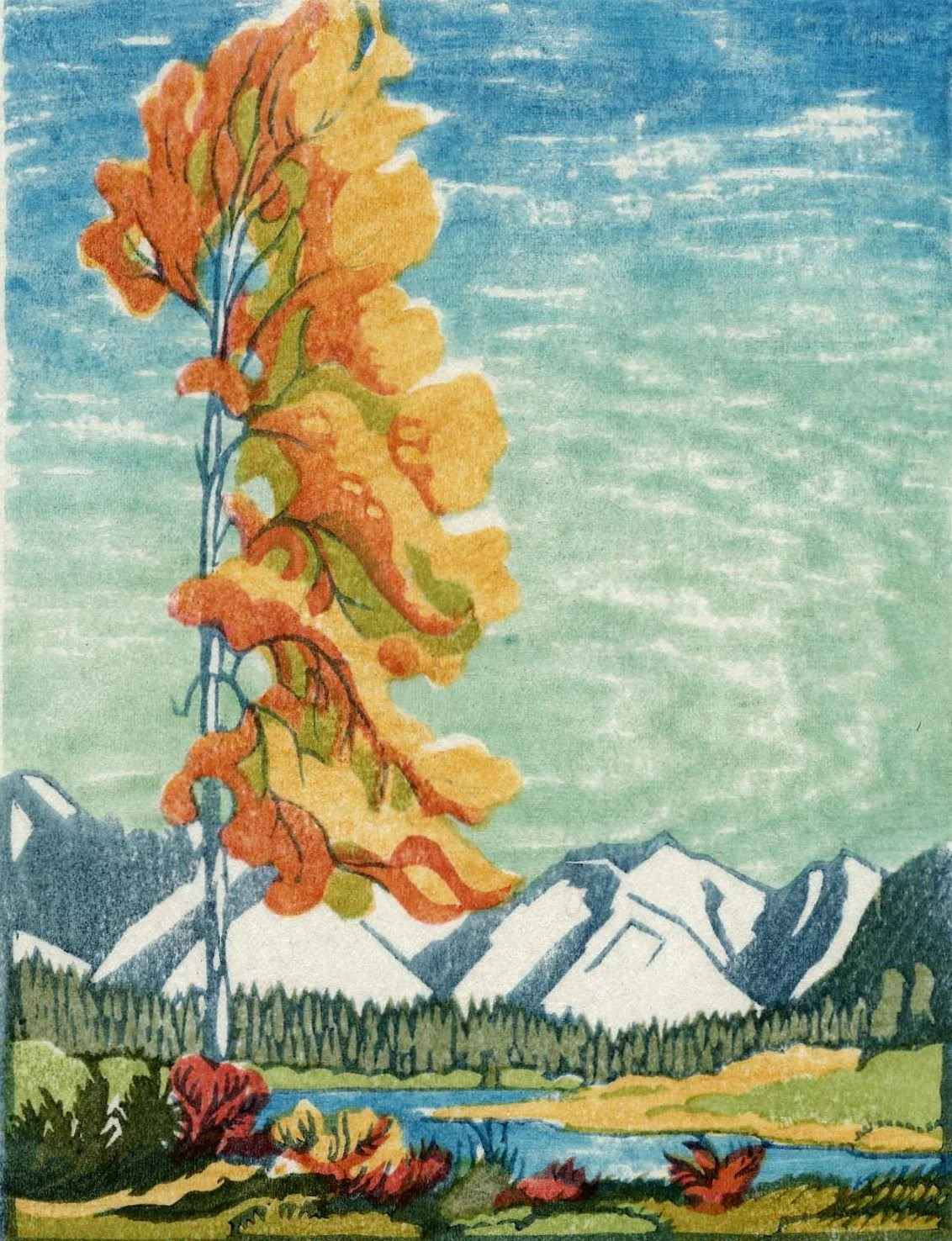 Margaret Shelton CPE (1915-84)